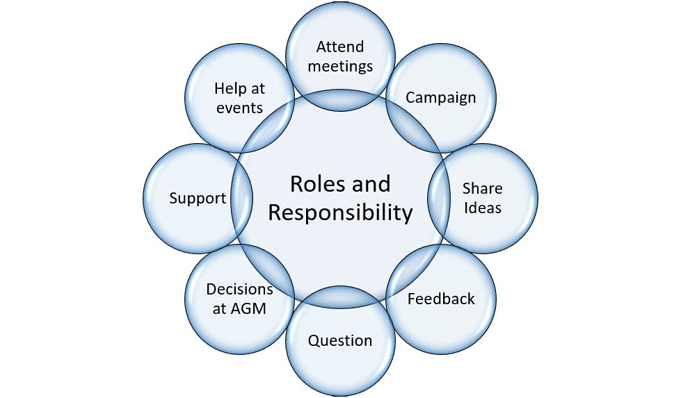 showing the different things that volunteers can do